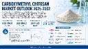 Global Carboxymethyl Chitosan Market: Water Treatment Accounts for 29% of Demand