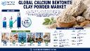 Ashapura, Clariant & Imerys Lead the Global Calcium Bentonite Clay Powder Market