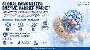 Immobilized Enzyme Carrier Market Set for 6.8% CAGR Growth Through 2034