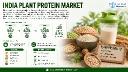 India Plant Protein Market Set for 8.9% CAGR Growth Through 2030