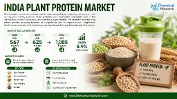 India Plant Protein Market Set for 8.9% CAGR Growth Through 2030
