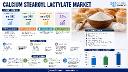 Global Calcium Stearoyl Lactylate Market &ndash; North America & Europe Account for 60%+ of Consumption