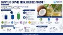 Global Caprylic Capric Triglycerides Market &ndash; North America Leads Consumption (Premium Cosmetic Brands)
