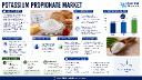 Global Potassium Propionate Market &ndash; North America Robust (US Convenience Food Consumption)
