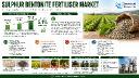 Global Sulphur Bentonite: Canola Sulphur Shortage Slashes Yields 20-30% & Reduces Oil Content