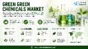 Green Chemicals Market: Top 5 Players (BASF, DSM, Dow, Solvay, Avantium) Command 55% Share with Extensive R&D Pipelines