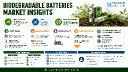 Biodegradable Batteries Market: Top 3 Players (Mitsubishi Chemical, BASF, Umicore) Command ~55% Share with Deep R&D Capabilities