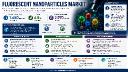 Fluorescent Nanoparticles Market: Top 3 Players Command >55% Revenue Share, R&D & Strategic Partnerships Drive Innovation