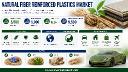 Natural Fiber Reinforced Plastics Market: Hybrid Composites, Biodegradable Packaging & Bio-Based Resins Present Key Growth Avenues