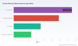 PW Consulting: Arsenic Removal Market to Expand at 6.5% CAGR Through 2032