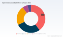 PW Consulting: Digital Ureteroscopes Market Set to Expand at a 6.5% CAGR