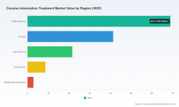 PW Consulting: Cocaine Intoxication Treatment Market Poised for 5.72% CAGR Growth &mdash; Acute Care Demand on the Rise