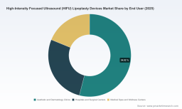 PW Consulting: Worldwide HIFU Lipoplasty Devices Market Set for 8.01% CAGR (2026&ndash;2032) from a USD 530.4 Million Base in 2025