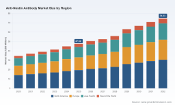 PW Consulting: Anti‑Nestin Antibody Market Poised to Surge at 6.64% CAGR, Reaching USD 74.53 Million by 2032