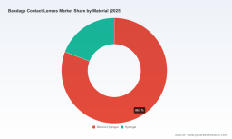 PW Consulting: Worldwide Bandage Contact Lenses Market to Expand from USD 656.15 Million in 2025 to USD 1,019.65 Million by 2032 at a 6.5% CAGR