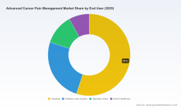 PW Consulting Report: Worldwide Advanced Cancer Pain Management Market Poised to Expand at a 6.55% CAGR Through 2032