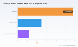 PW Consulting: Worldwide Traveler&rsquo;s Diarrhea Treatment Market Set to Expand at 6.12% CAGR, New Report Reveals