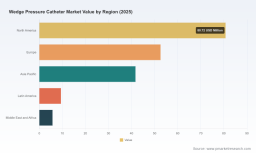 PW Consulting: Worldwide Wedge Pressure Catheter Market Poised for 5.72% CAGR Through 2032, Says 2025 Report