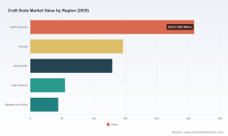 Craft Soda Market Outlook: 6.5% CAGR Fuels Growth &mdash; PW Consulting