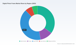 PW Consulting: Digital Photo Frame Market to Hit USD 235.6M by 2032 at 3.2% CAGR