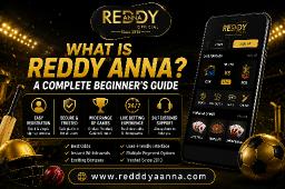 What Is Reddy Anna? A Complete Beginner's Guide