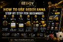 How to Use Reddy Anna Step by Step for Beginners