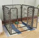 Choosing the Right Pet Fence for Different Outdoor Environments