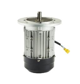 Permanent Magnet Motor Factory for Customized Industrial Motor Production