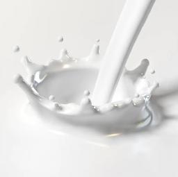 Carboxylated SBR Latex in Waterborne Pressure-Sensitive Adhesives