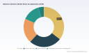 PW Consulting: Medical Catheters Market Hits USD 32.1B in 2025, Growing at 6.8% CAGR