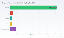 PW Consulting: Schistosomiasis Drug Market Set for 6.4% CAGR to 2032