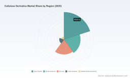 PW Consulting: Worldwide Cellulose Derivative Market Forecast to Top USD 10.68 Billion by 2032