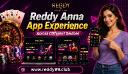 Reddy Anna App Experience Across Different Devices