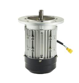 Permanent Magnet Motor Factory for Customized Industrial Motor Production