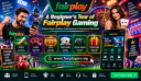 A Beginner's Tour of Fairplay Gaming