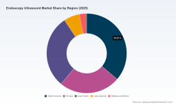 PW Consulting: Endoscopy Ultrasound Market Hits $1,340M in 2025, Forecasts 7.1% CAGR Through 2032
