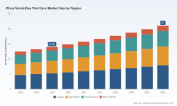 PW Consulting Forecasts Cera Market to Hit $21M by 2032, Driven by 6.01% CAGR