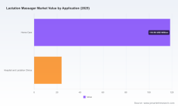 Worldwide Lactation Massager Market: Why Home Care Subsidizes Growth in 2025-2032