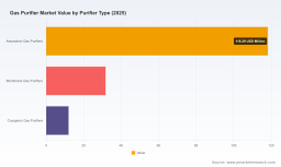Gas Purifier Market: Why 6.2% CAGR and Asia Pacific&rsquo;s Rise Change Everything
