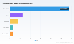 Gaucher Disease Market: Why 6% CAGR and High Concentration Reshape Strategy