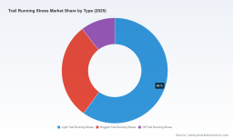 Trail Running Shoes Market: Why 6.85% CAGR and 55% CR3 Signal Industry Shifts