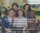 Differential Equations Assignment Help &ndash; Understanding Change Through Mathematical Models