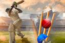 How Cricket Betting ID India Platforms Serve Local Cricket Betting Users