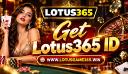 Lotus365 Online: Exploring the Interface and Main Navigation Sections