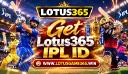 Lotus365 IPL ID: Understanding Team, Match, and Tournament Information