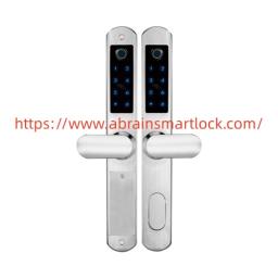 Can Abrain 304 Stainless Steel Smart Lock Handle Changing Weather