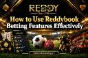 How to Use Reddybook Betting Features Effectively