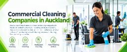 Commercial Cleaning Companies in Auckland: How to Choose