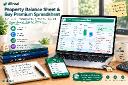 Buy Premium Spreadsheet Rental Property Balance Sheet