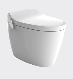What Do Smart Toilet Flushing Terms Actually Mean?